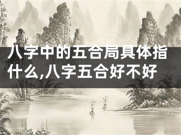 八字中的五合局具体指什么,八字五合好不好