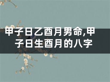 甲子日乙酉月男命,甲子日生酉月的八字