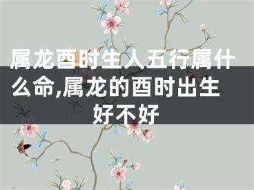 属龙酉时生人五行属什么命,属龙的酉时出生好不好