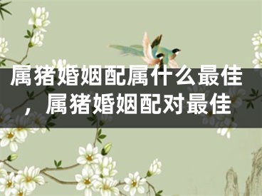 属猪婚姻配属什么最佳，属猪婚姻配对最佳