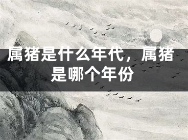 属猪是什么年代，属猪是哪个年份