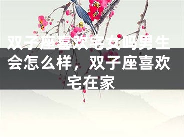 双子座喜欢宅女吗男生会怎么样，双子座喜欢宅在家