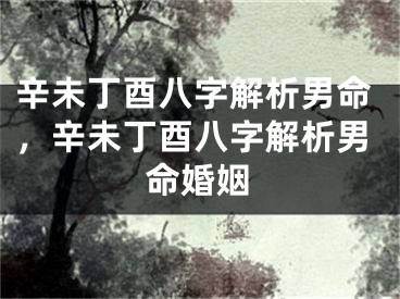 辛未丁酉八字解析男命，辛未丁酉八字解析男命婚姻