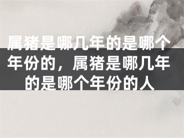 属猪是哪几年的是哪个年份的，属猪是哪几年的是哪个年份的人
