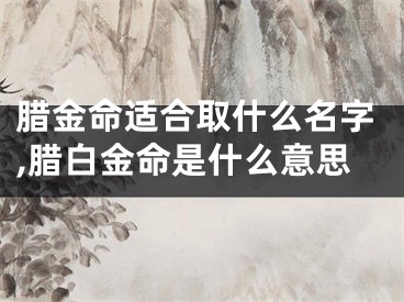 腊金命适合取什么名字,腊白金命是什么意思