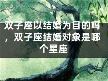 双子座以结婚为目的吗，双子座结婚对象是哪个星座