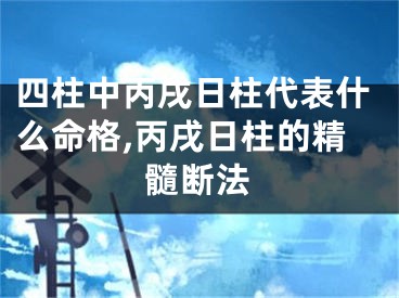 四柱中丙戌日柱代表什么命格,丙戌日柱的精髓断法