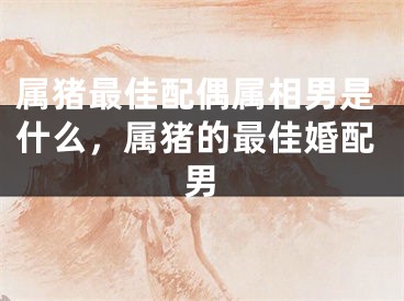属猪最佳配偶属相男是什么，属猪的最佳婚配男