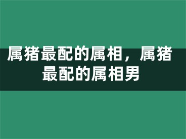 属猪最配的属相，属猪最配的属相男