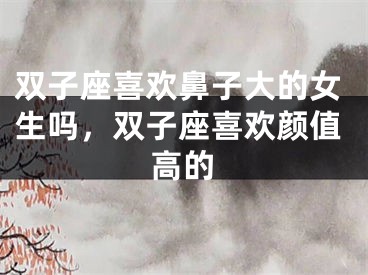 双子座喜欢鼻子大的女生吗，双子座喜欢颜值高的