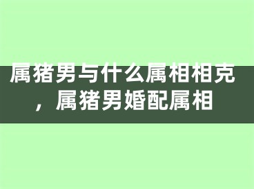属猪男与什么属相相克，属猪男婚配属相