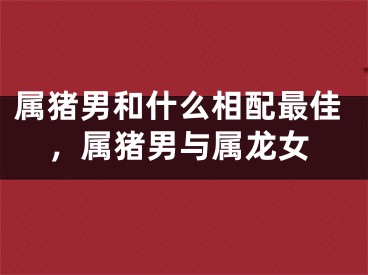 属猪男和什么相配最佳，属猪男与属龙女