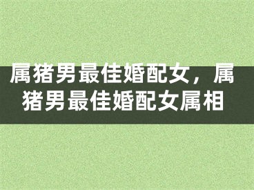 属猪男最佳婚配女，属猪男最佳婚配女属相