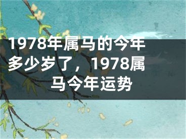 1978年属马的今年多少岁了，1978属马今年运势