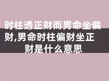 时柱透正财而男命坐偏财,男命时柱偏财坐正财是什么意思