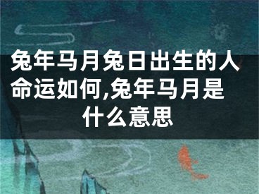 兔年马月兔日出生的人命运如何,兔年马月是什么意思
