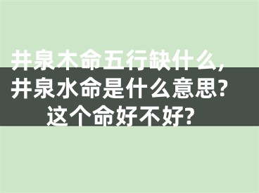 井泉木命五行缺什么,井泉水命是什么意思?这个命好不好?
