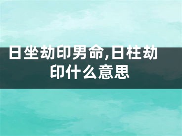 日坐劫印男命,日柱劫印什么意思