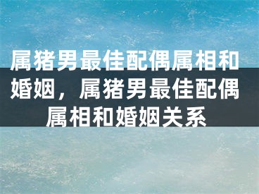 属猪男最佳配偶属相和婚姻，属猪男最佳配偶属相和婚姻关系