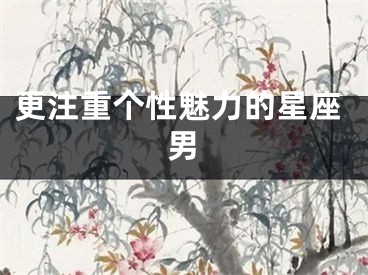 更注重个性魅力的星座男