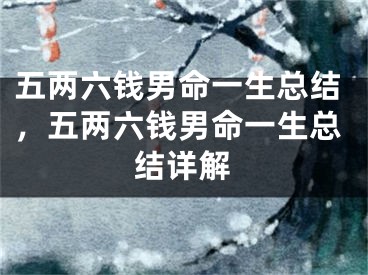 五两六钱男命一生总结，五两六钱男命一生总结详解
