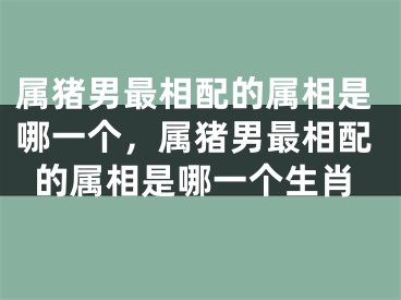 属猪男最相配的属相是哪一个，属猪男最相配的属相是哪一个生肖