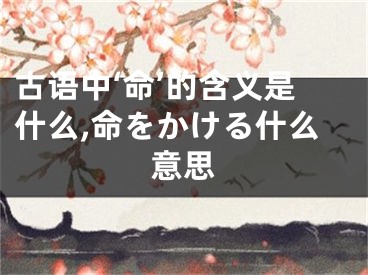 古语中‘命’的含义是什么,命をかける什么意思