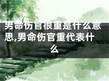 男命伤官很重是什么意思,男命伤官重代表什么