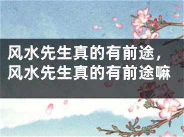 风水先生真的有前途，风水先生真的有前途嘛