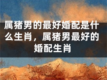 属猪男的最好婚配是什么生肖，属猪男最好的婚配生肖