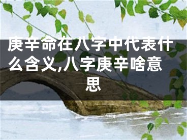 庚辛命在八字中代表什么含义,八字庚辛啥意思