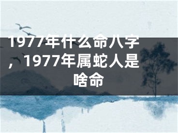 1977年什么命八字,1977年属蛇人是啥命