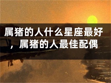 属猪的人什么星座最好，属猪的人最佳配偶