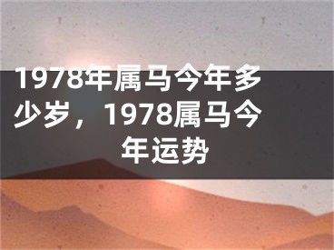 1978年属马今年多少岁，1978属马今年运势