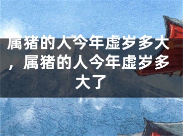 属猪的人今年虚岁多大，属猪的人今年虚岁多大了