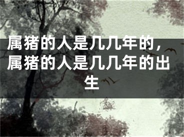 属猪的人是几几年的，属猪的人是几几年的出生