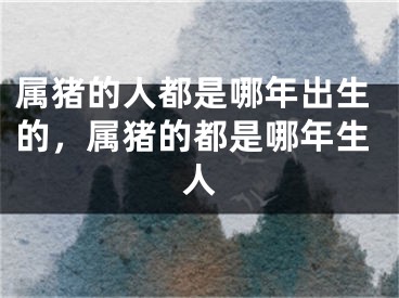 属猪的人都是哪年出生的，属猪的都是哪年生人