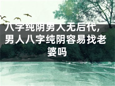 八字纯阴男人无后代,男人八字纯阴容易找老婆吗