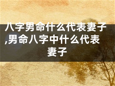 八字男命什么代表妻子,男命八字中什么代表妻子
