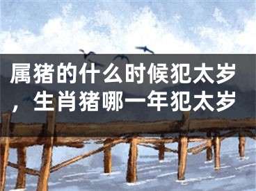 属猪的什么时候犯太岁，生肖猪哪一年犯太岁