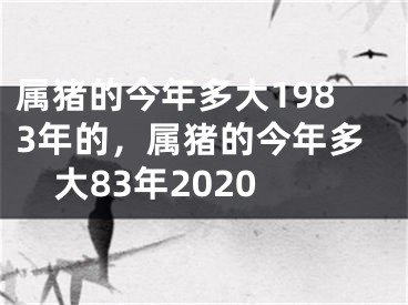 属猪的今年多大1983年的,属猪的今年多大83年2020
