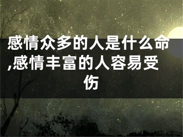 感情众多的人是什么命,感情丰富的人容易受伤