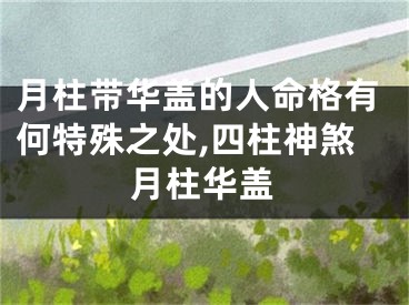 月柱带华盖的人命格有何特殊之处,四柱神煞月柱华盖