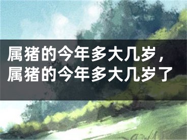 属猪的今年多大几岁，属猪的今年多大几岁了