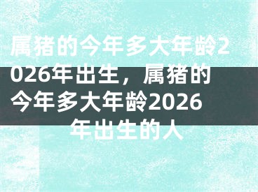 属猪的今年多大年龄2026年出生，属猪的今年多大年龄2026年出生的人