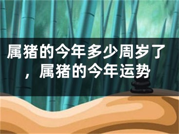 属猪的今年多少周岁了，属猪的今年运势