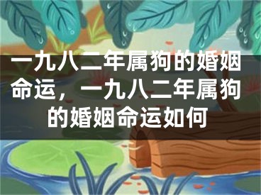 一九八二年属狗的婚姻命运,一九八二年属狗的婚姻命运如何