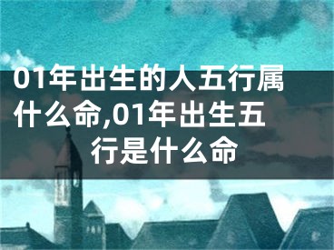 01年出生的人五行属什么命,01年出生五行是什么命