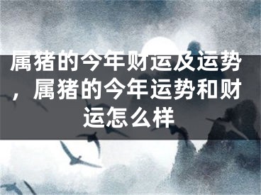 属猪的今年财运及运势，属猪的今年运势和财运怎么样