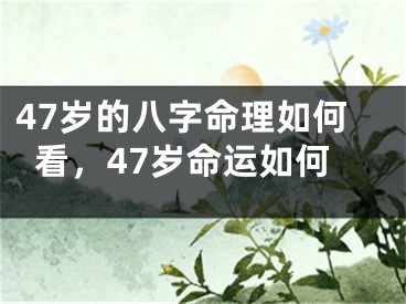 47岁的八字命理如何看，47岁命运如何